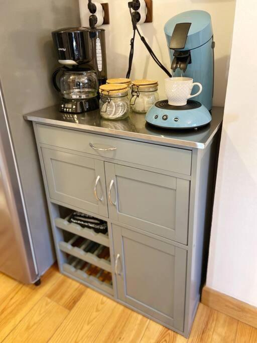 Cocon Cosy Dans La Ville Rose Toulouse Ngoại thất bức ảnh