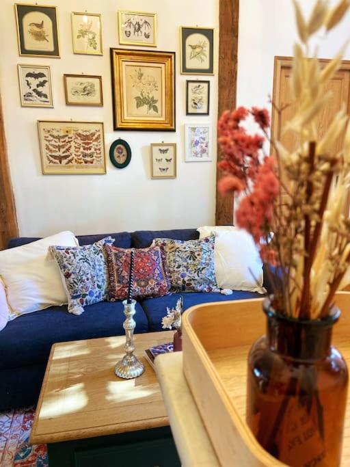 Cocon Cosy Dans La Ville Rose Toulouse Ngoại thất bức ảnh