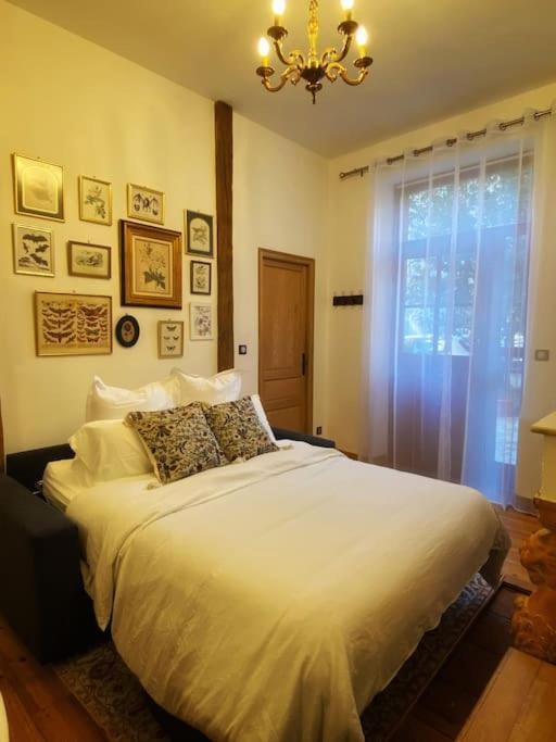 Cocon Cosy Dans La Ville Rose Toulouse Ngoại thất bức ảnh