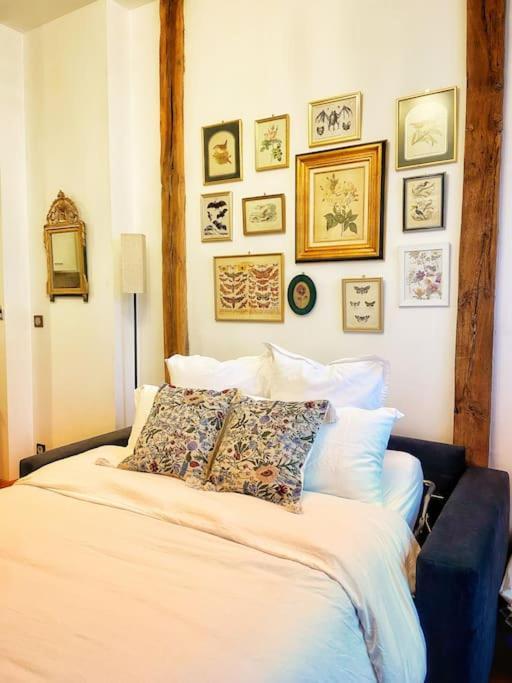 Cocon Cosy Dans La Ville Rose Toulouse Ngoại thất bức ảnh